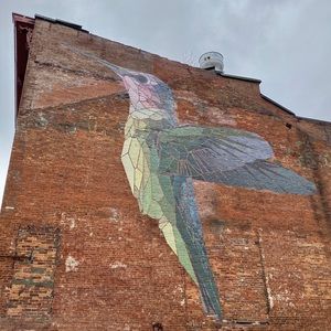 Meet your Posher, Roma